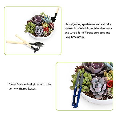 14 Pieces Succulent Plants Tools, Mini Garden Hand Tools Miniature Fairy Garden Tools Kit Bonsai Tools Planting Set with Scissors, Mini Rake, Shovel, Transplanting Tool Watering Can etc - view 4