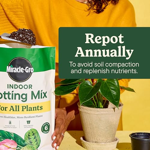 Indoor Plant Grow, Feed & Protect Houseplant Care Bundle - view 5