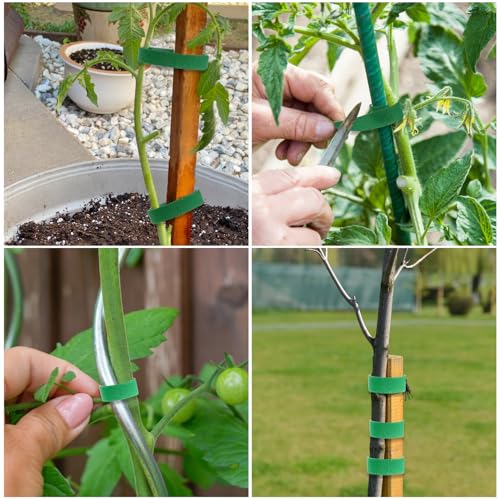 Plant Tape for Climbing Plants, 32.8ftx0.6in Garden Tape for Plant Support - view 4