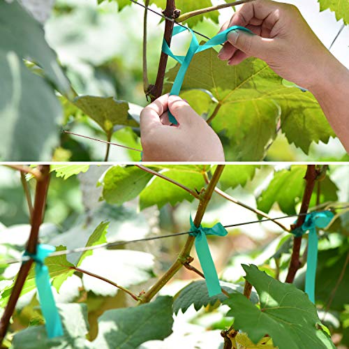 2 Pcs 150 Feet x 1/2" Wide Stretch Tie Tape Green Plant Garden Tie, Garden Vinyl Stake for Branches, Climbing Planters, Flowers - view 3