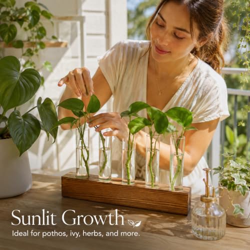 Plant Propagation Station, Plant Terrarium with Wooden Stand - view 3
