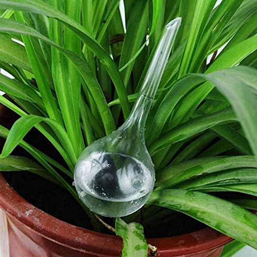 5 Pcs Automatic Watering Device Globes Vacation Houseplant Plant Pot Bulbs Garden Waterer Flower Water Drip Watering, Transparent - view 5