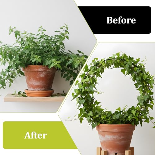 2 Pcs Trellis for Climbing Plants Indoor 14.5" Hoya Trellis Set Small Plant Support Stakes Round Climbing Plant Supports Flower Houseplant Hoya Support for Garden Stem Vines Potted Plants - view 4
