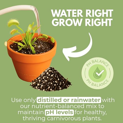 Carnivorous Plant Soil Mix - Large Size - Plant Food Peat Moss & Perlite for Carnivorous Plants - Terrarium Soil, Pitcher Plant Soil, Venus Fly Trap Soil - view 4