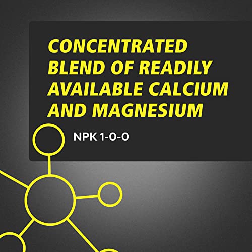 CALiMAGic Quart - view 2