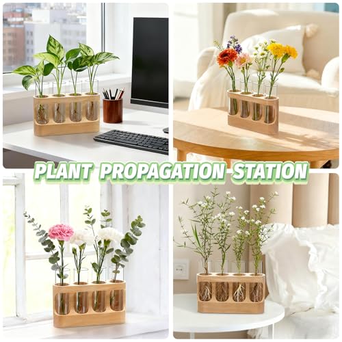Plant Propagation Station with Wood Stand, 3-Mode 9-Level Adjustable Lights - view 6