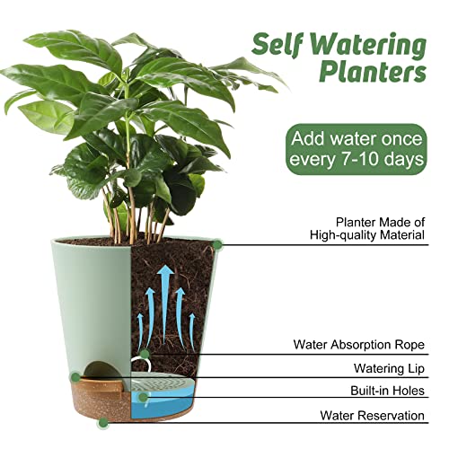 8,7, 6.5, 6, 5.5, 5 Inches Self Watering Planters for Indoor Plants - view 5