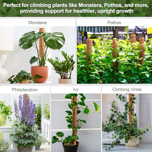 48 Inch Monstera Plant Support, 4 Pack 16 inch Moss Pole for Monstera & Climbing Plants Coco Coir Plant Support, Plant Ties Included - view 6