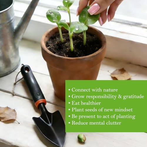 Garden Tools Set for Women, Indoor Beginner Gardening Hand Tool Gift Sets,Gardening Starter Essentials kit Supplies - view 5