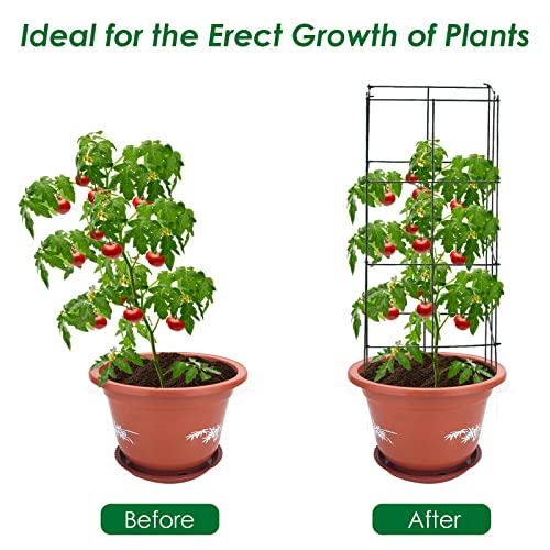 4 Pack Folding Tomato Cages, 39 Inches Tall Square Plant Support Cage for Garden Climbing Plants Flowers Fruits, Heavy Duty Tomato Vegetable Trellis - view 5