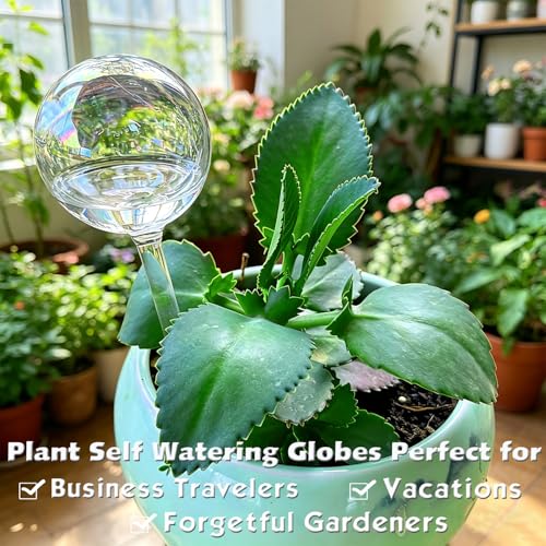 2pcs Glass Plant Watering Globes, Clear Rainbow Color Flower Self-Watering System Spikes, Automatic Plant Waterer Bulbs for Indoor & Outdoor Plants Everyday Use - view 2