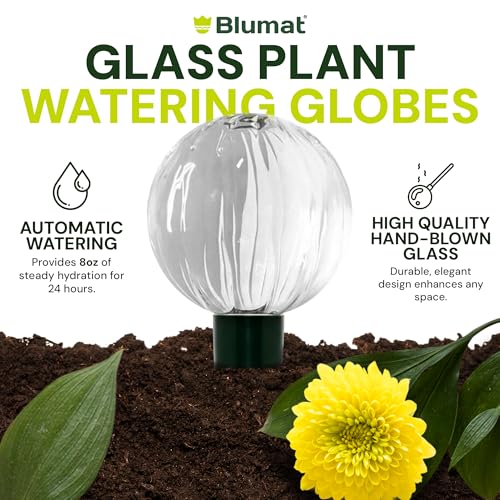 Glass Globe with Bottle Adapter - view 6