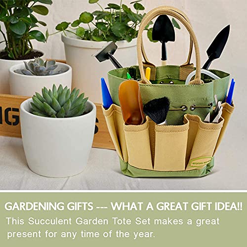 Garden Succulent Kit with Organizer Bag,15 Pieces, Green - view 5