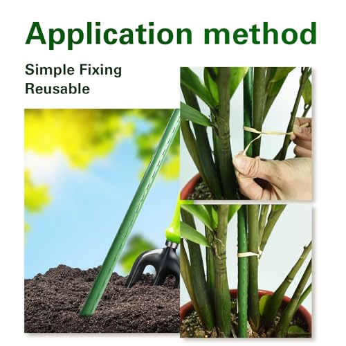 Plant Stakes 36 inch, 3ft Steel Garden Stakes 25 Pack, Sturdy Plant Support for Climbing Plants, Tomatoes, Beans, Cucumbers, Peppers, Flowers, Potted, Strengthen and Stem to Grow Better - view 5
