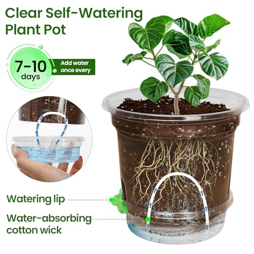 18 Pack 6.5/5/4 Inch Self Watering Pots for Indoor Plants-Clear - view 2