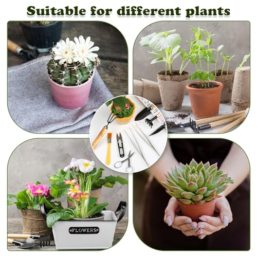 9 Pcs Basic Bonsai Tools Set, Bonsai Tree Kit, Mini Garden Tools - view 5
