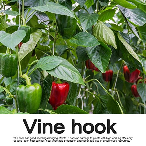 Plant Climbing Hooks, Tomato Support J Hook Garden Hooks to Prevent Tomatoes from Pinching or Falling Off (20Pcs) - view 6