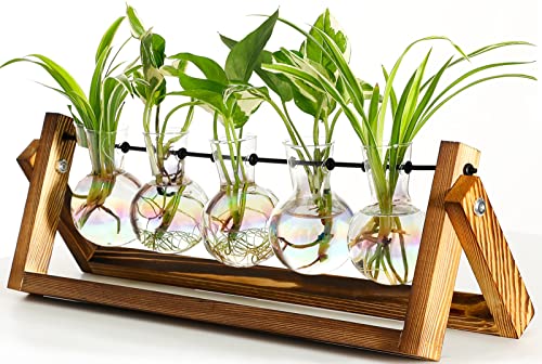 Plant Terrarium with Wooden Stand Desk Plant 5 Bulb Vase