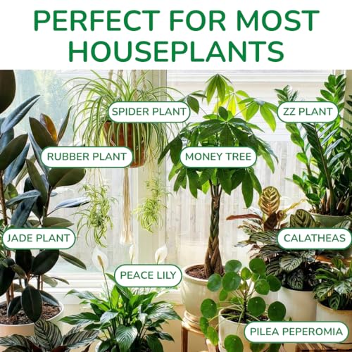 Organic Indoor Plant Soil, Well-Draining Potting Mix, Large 7.5L Bag - view 6