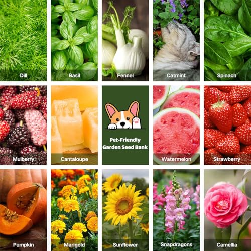 Lush&Dew Pet-Friendly Heirloom Seed Bank, Gardening Gifts for Women Men - view 7
