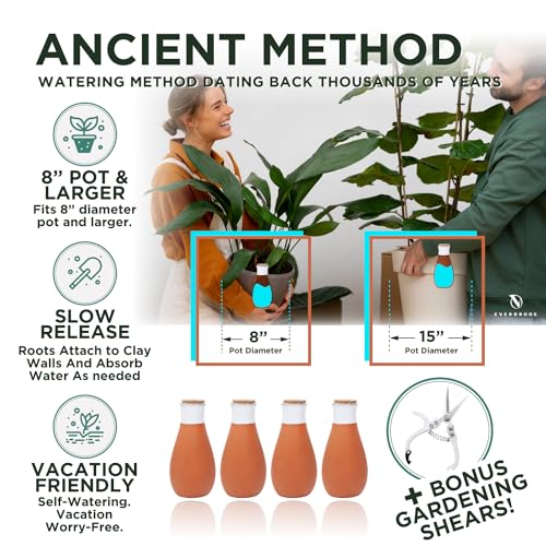 Plant Self Watering Globes - Terracotta Watering Spikes - Slow Release Olla Watering Pots - Drip Irrigiation Olla System - view 4