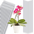 30 Pcs 15.6 Inch Clear Acrylic Plant Support Stakes