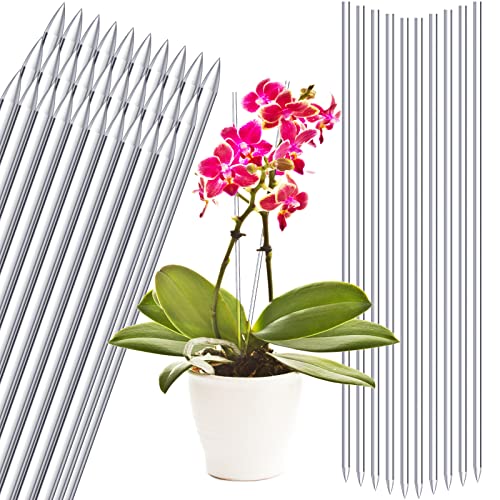 30 Pcs 15.6 Inch Clear Acrylic Plant Support Stakes
