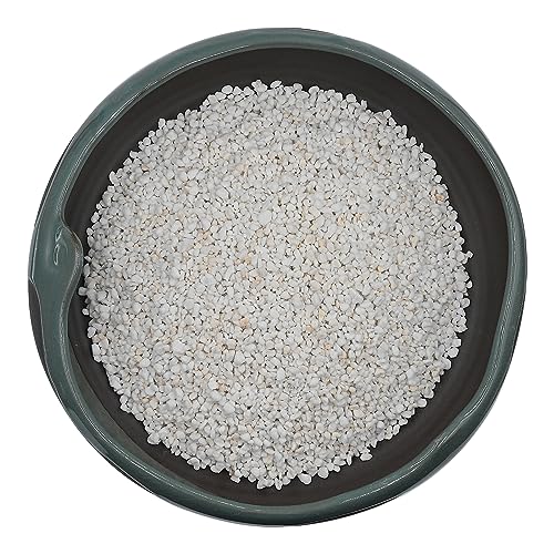 10QT Horticultural Perlite Bulk, Organic Perlite for Plants, Course Perlite for Gardening, for Plants Indoor, for Houseplants, to Promotes Soil Root Growth, and Water Drainage and Plant Growth(3-6mm)