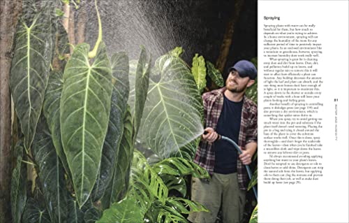 Not Another Jungle: Comprehensive Care for Extraordinary Houseplants - view 5