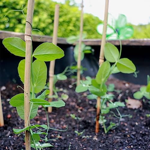 Plant Stakes 50Pcs 18IN, Premium Natural Bamboo Stakes Garden Stakes - view 6