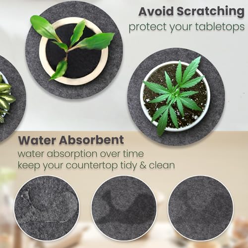 Felt Plant Coasters, 8 Inch 8 Pcs - view 4