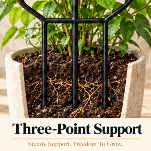 30" Metal Trellis for Potted Climbing Plants, Indoor Outdoor, 2PC - view 7