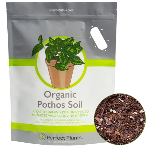 Organic Pothos Soil, 8 qt, Indoor Coco Coir Mix
