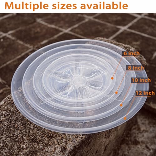 6 Pack of Plant Saucer, 6 inch Clear Plant Trays for Pots, Plant Water Catcher Tray, Plant Plate for Indoors Outdoors - view 5