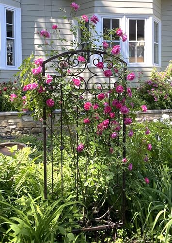 Garden Trellis 32" W x 6' Tall, Heavy Duty Iron Freestanding - view 2