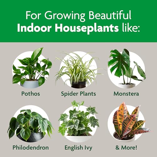 Indoor Potting Mix, Blended for a Variety of Houseplants, Feeds for up to 6 Months, 6 qt. - view 3