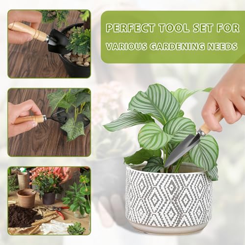 Small Garden Tools 6 Pcs Miniature Shovel Set Cute Gardening Mini Succulent Home Tiny Gardening Kit Plant Potted Repotting Flower Wood Handle Care Transplant Accessories Potted Houseplant - view 7