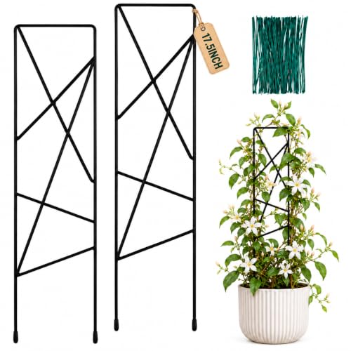 17.5 inch Small Trellis for Potted Plants, Metal Plant Trellis Indoor