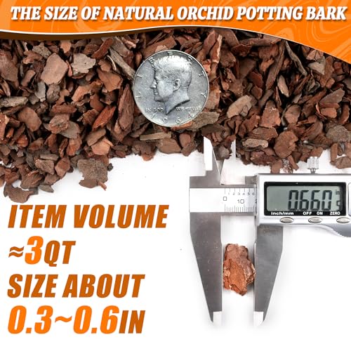 Orchid Potting Bark-3QT Organic Orchid Bark for Plants, All Natural Pine Bark Wood Chips Orchid Bark Potting Mix for Houseplant Mulch, Help Orchid Plants Root Health Development - view 4