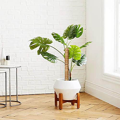 30 Inch Moss Pole for Climbing Plants - 2 Pack 15 Inch Coir Totem Pole Plant Support with 65 Feet Garden Twist Tie for Monstera and Potted Plants to Grow Upwards… - view 6