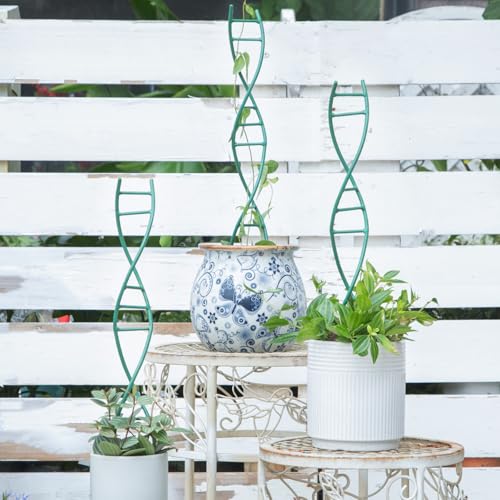 3PCS Indoor Plant Trellis for Potted Plants - Metal Houseplant Trellis - view 6