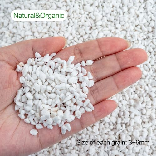 Perlite for Plants 4 Quarts, Horticultural Perlite Soil for Plants Potting Mix, Amendment for Plants Indoor&Outdoor, Enhanced Water Drainage and Ventilation, Promote Root Growth (3-6mm) - view 2