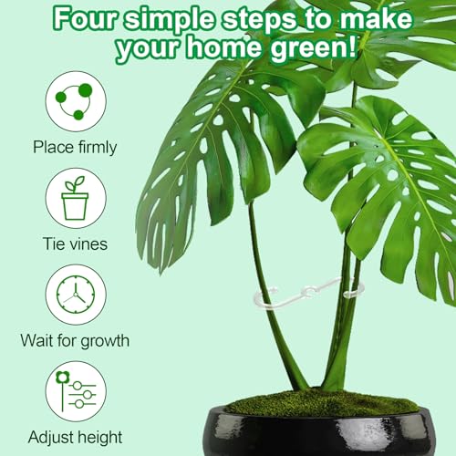 4pcs Plant Stem Support, 2 Sizes Plant Stem Holder Hook Monstera Stabilizer for Indoor Outdoor Climbing Houseplant Growth Accessories (Clear) - view 4