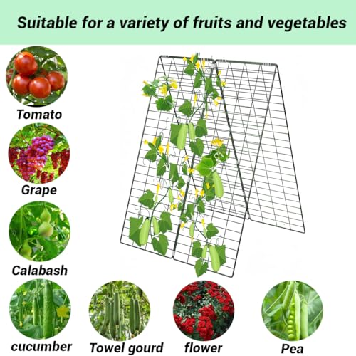Foldable Cucumber Trellis, Heavy Duty Steel Plant Support Frame (2pack) - view 6