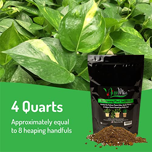 Potting Soil - 4-Quart Bag, Perlite - Well-Draining Snake Plant Soil - Slightly Acidic Potting Mix for Indoor Plants - view 5