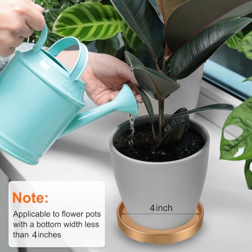 1-Pack Plant Pot Saucer 5 Inch OD Black - view 7