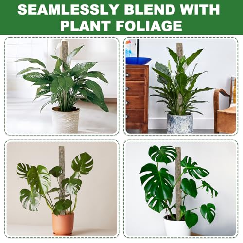Moss Pole for Plants 2 Pcs 13+16 Inch Modern Mesh Design Green Moss and Plastic Plant Support Extension - view 4