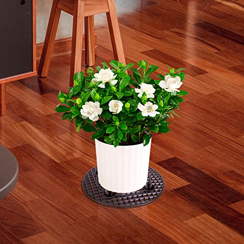 4 Pcs Plant Level Pot Elevator, 12 Inch Plant Stands, Plant Pot Saucer - view 6