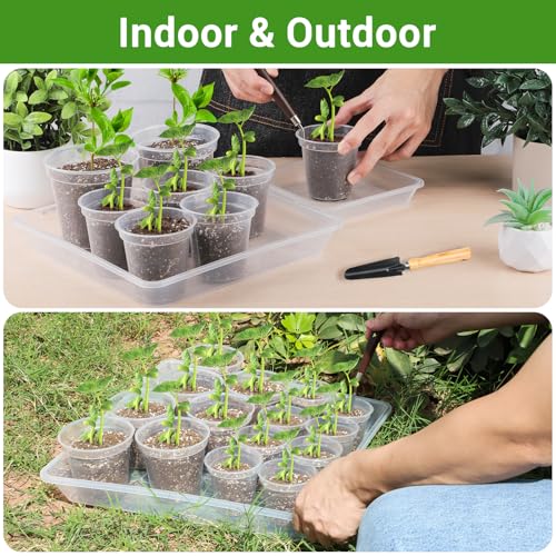 6 Inch Square Plant Saucer, 6 PCS Plastic Tray for Pot-Fits Planters Up to 5″ Bottom Diameter, Durable Thick Flower Pot Plant Drip No Holes for Indoor Outdoor Planter(Clear) - view 6