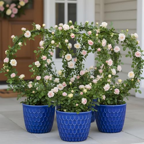 2 Pcs Trellis for Climbing Plants Indoor 14.5" Hoya Trellis Set Small Plant Support Stakes Round Climbing Plant Supports Flower Houseplant Hoya Support for Garden Stem Vines Potted Plants - view 7